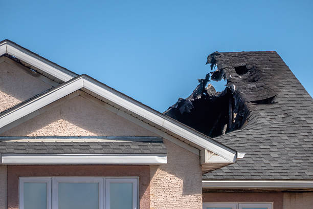 Top rated local Odor Removal specialists in Deer Park, TX
